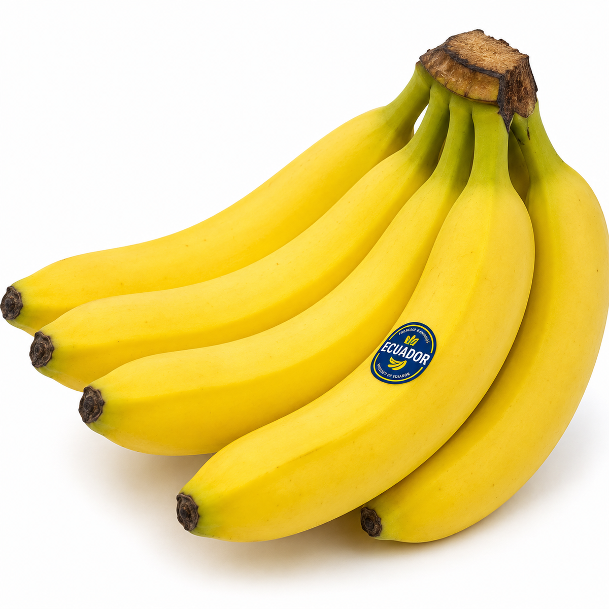 Ecuador Bananas