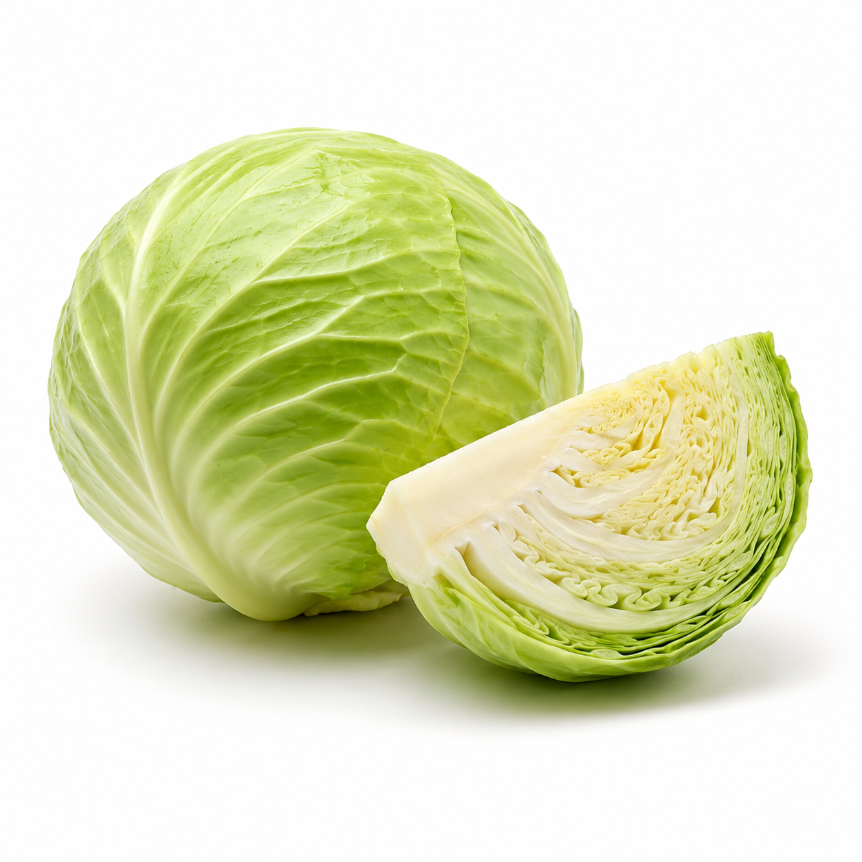 Fresh Green Cabbage