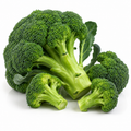 Fresh Broccoli