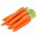 Fresh Carrot