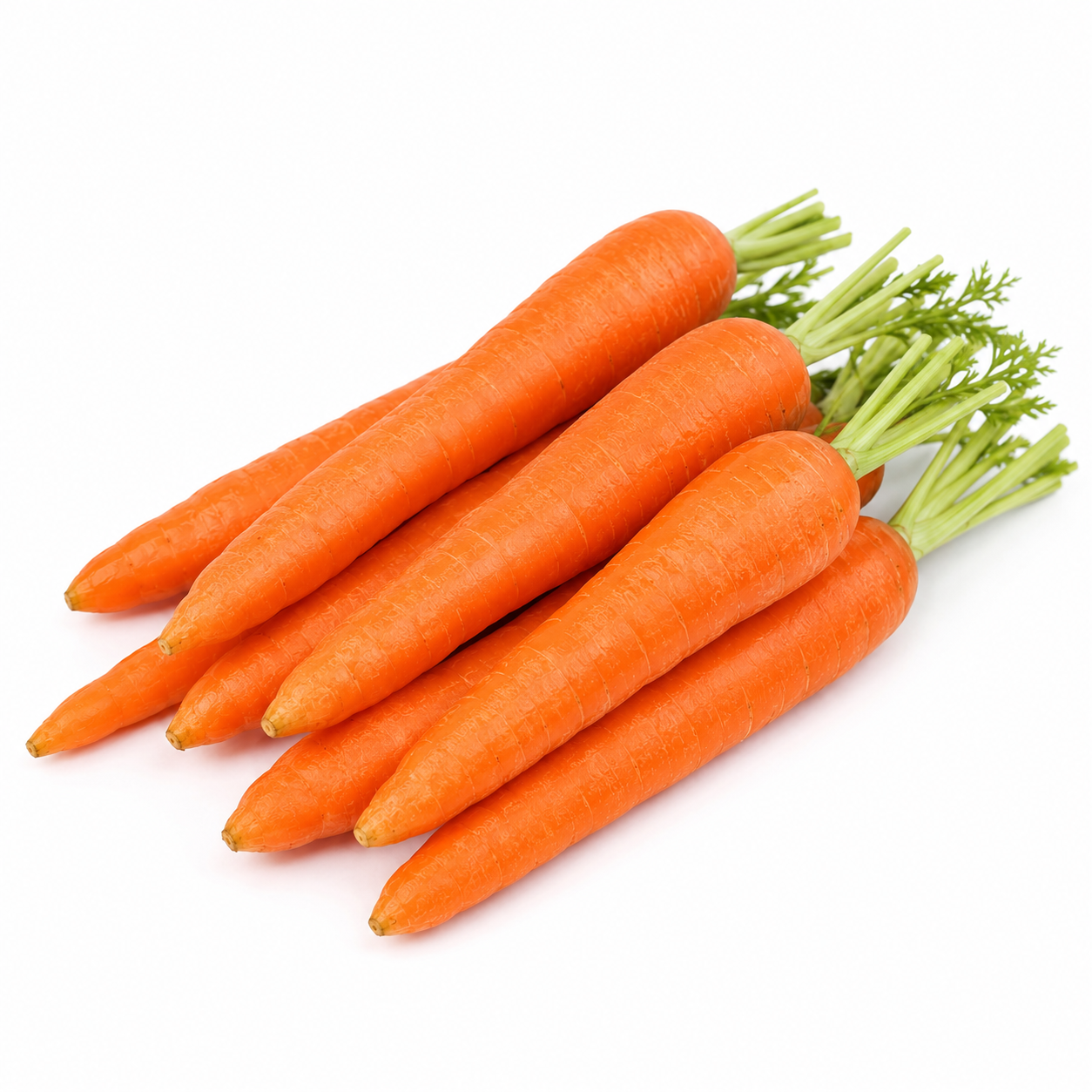 Fresh Carrot