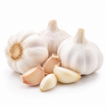 Fresh Garlic