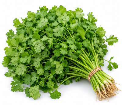 Fresh coriander