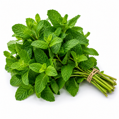 Fresh mint