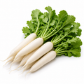 Radishes