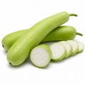 Bottle Gourd