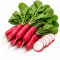 Red Radishes