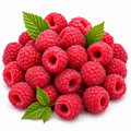 Raspberry